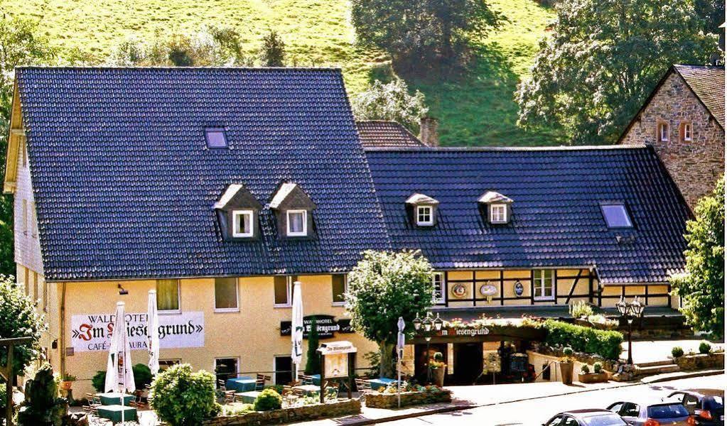 Waldhotel Im Wiesengrund 후트겐발트 외부 사진