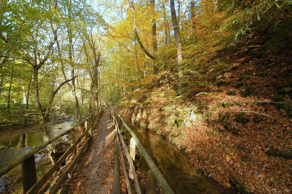 Waldhotel Im Wiesengrund 후트겐발트 외부 사진